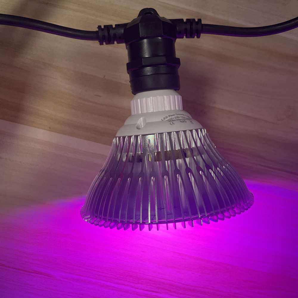สายไฟ LED ยาว 10 เมตร เกรดเชิง - Outdoor Lighting Brands บทวิจารณ์และราคา